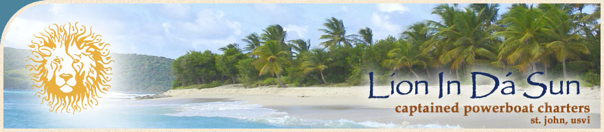 Lion In Da Sun Powerboat Charters from St. John and St Thomas, USVI 